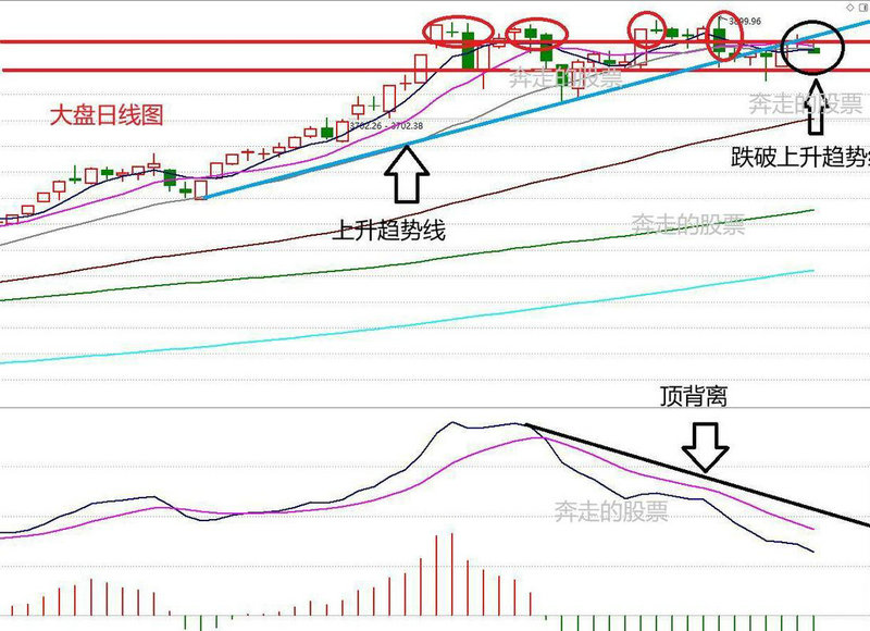 东方财富证券如何看集合竞价（东方财富的集合