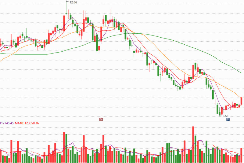 翔丰华300890（300809股票）