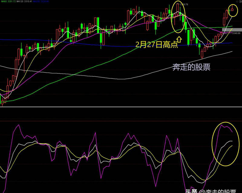 探路者王冬梅（探路者300005预计利润）