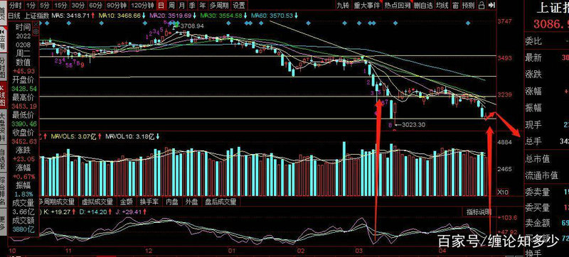服装股本结构分析（股本结构与规模怎么写）