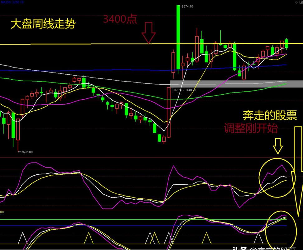 谢征昊最新持股（冯柳最新持股）