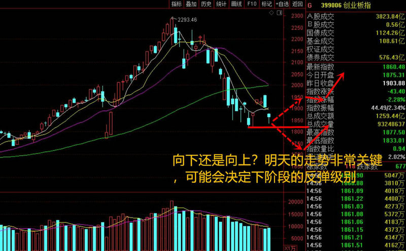 公司股权改革的目的（标的股权）