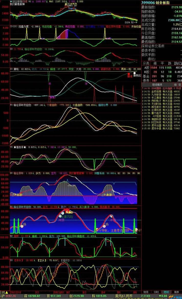比亚迪股票投资风险（比亚迪速锐）