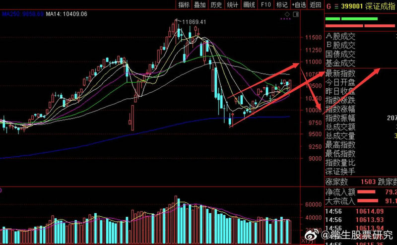 最具潜力的染料股（科技龙头股一览表）