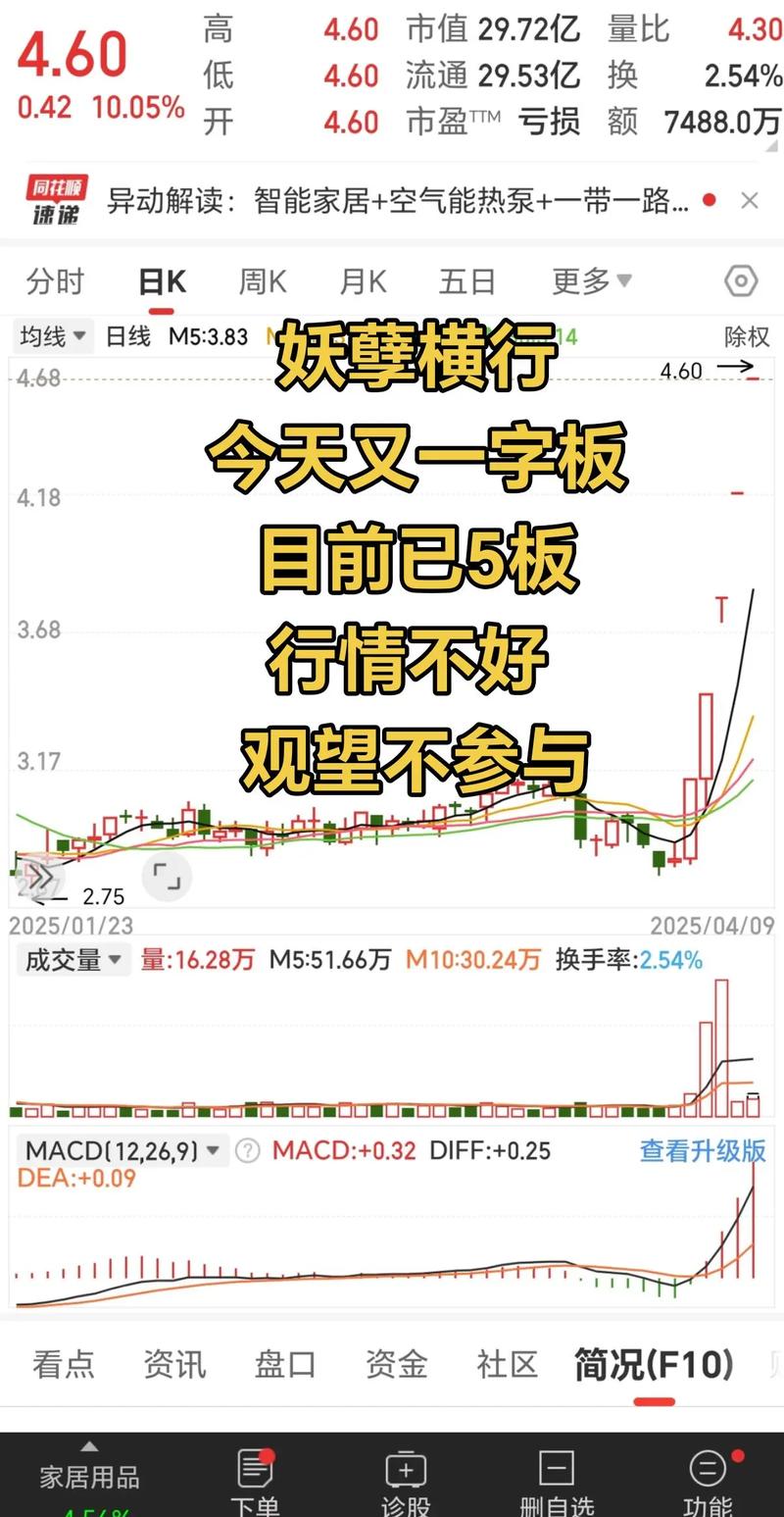 金鹰集团是哪个国家的（金鹰集团）