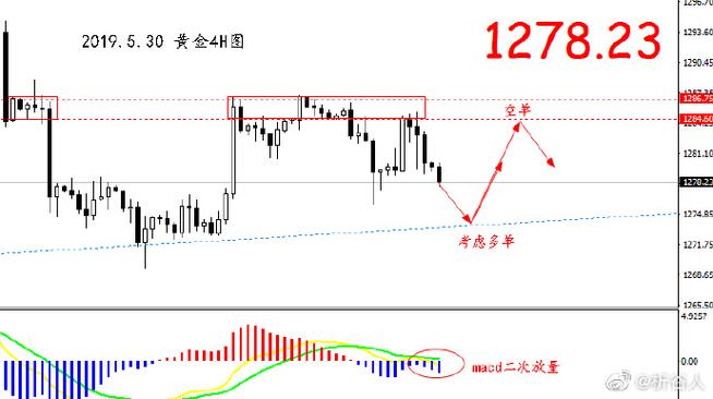 010155基金净值（008664今天净值）