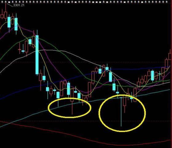 管材上市公司有几家（防水上市公司有几家）