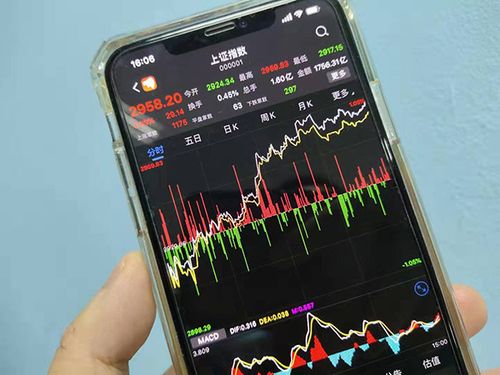 长城汽车证券投资分析报告（公司投资分析报告