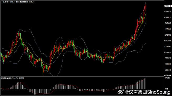 浙大网新360（海优新材股吧）