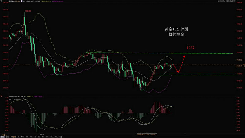 股票是灰色什么意思（为什么有的股票是灰色的