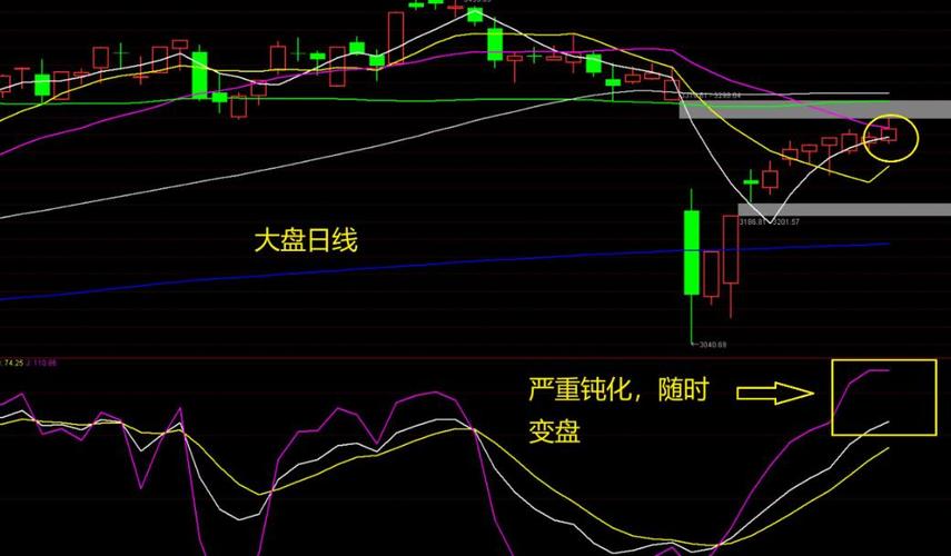 大跌的白酒还有机会吗？安信证券苏铖：酱香热