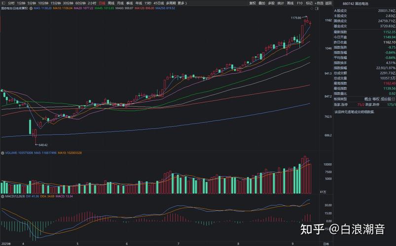 申购额度如何计算的（科创板申购额度计算）