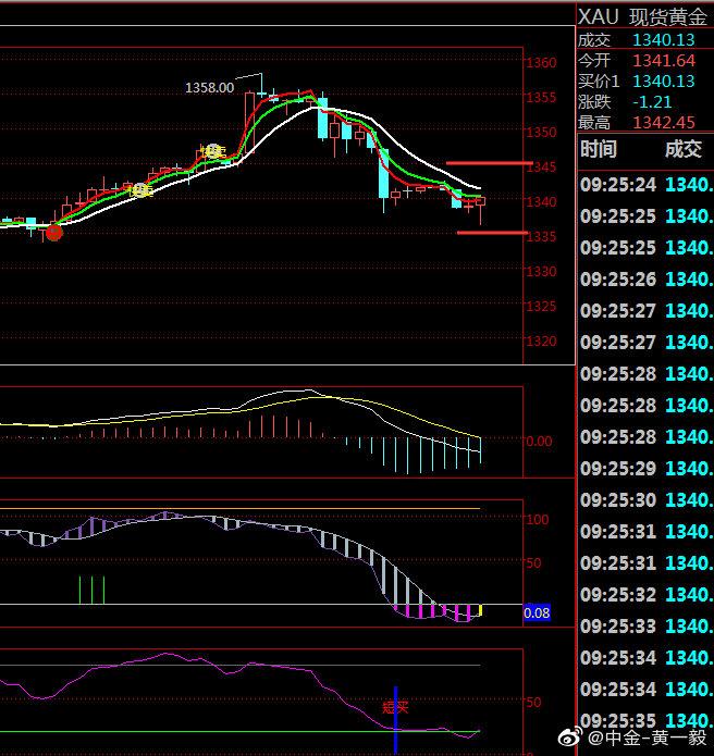 300462半年报（600719）