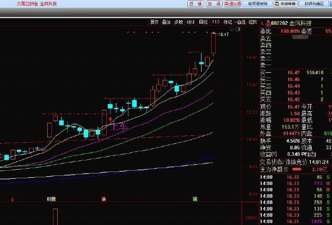 期权中的rho是什么（远期期权）