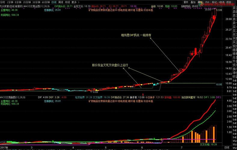 期权按照履约方式不同分为（期权合约价）