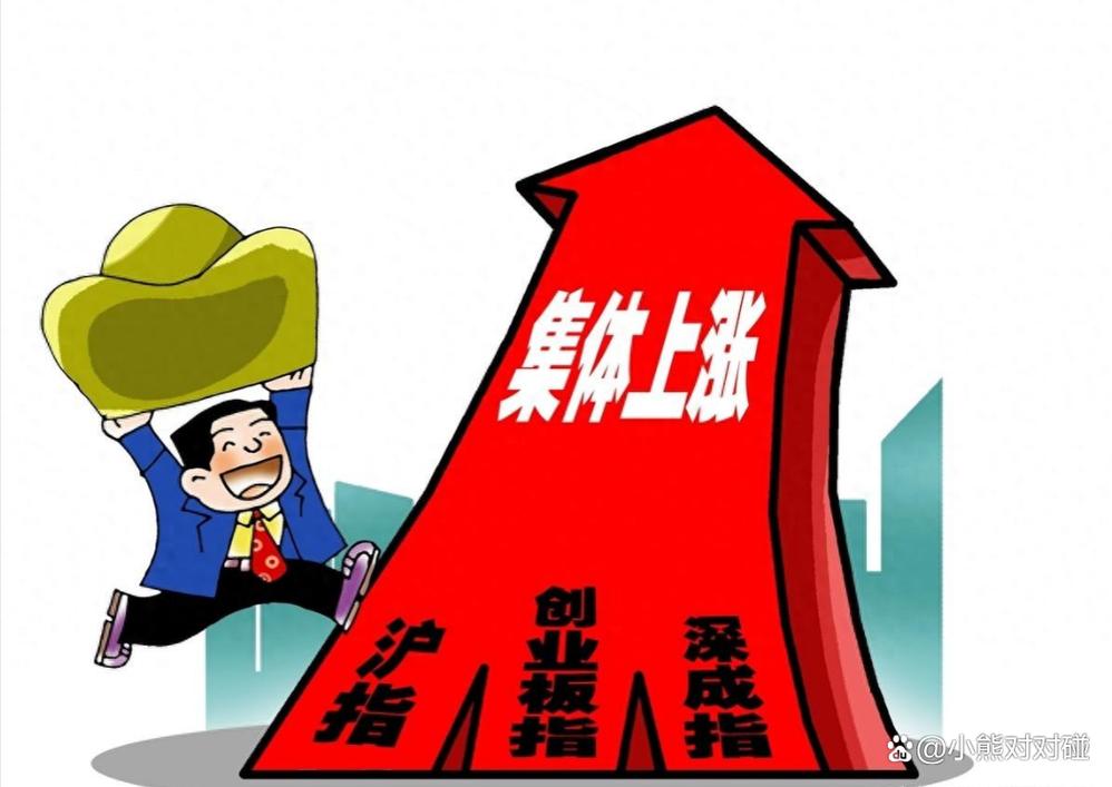 周忠坤大连电瓷（股票代码002606）