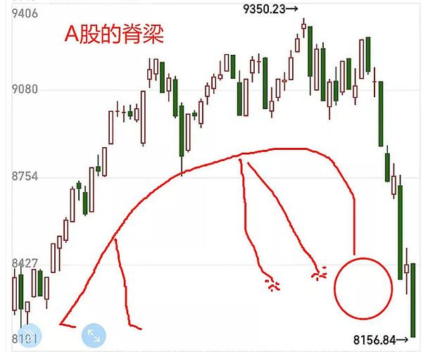 美国人怎么买基金（国内如何购买美国基金）