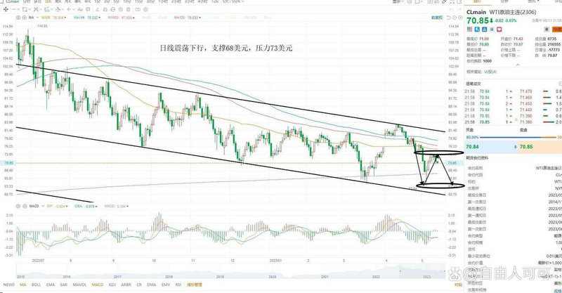 与钼有关的股票（美的股票）