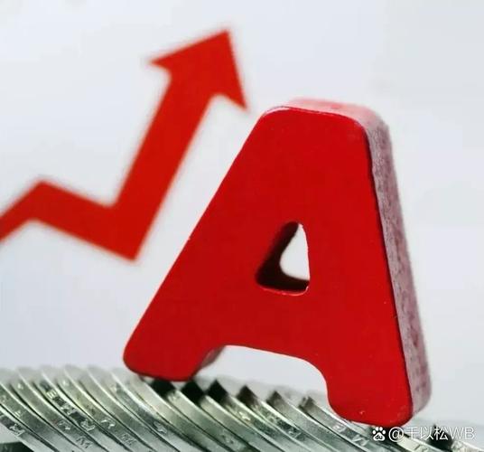 孙田志***泰和新材（002254泰和新材公告）