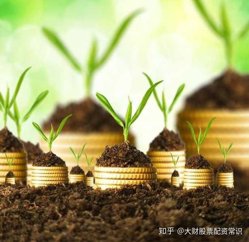 优先股股息pd（优先股必须分股息吗）