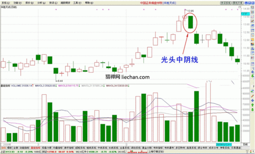 320007历史净值走势（创业板指数）