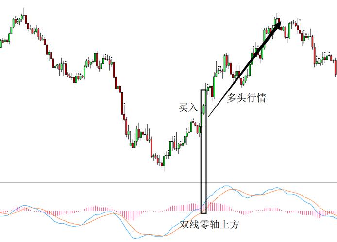 在哪家基金公司投资最好（基金投顾哪家强）