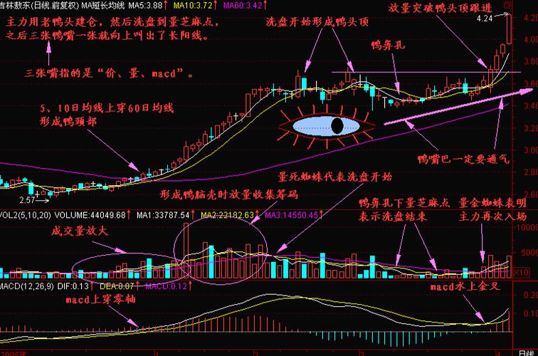 怎么申购新股票的条件（新股购买资格）