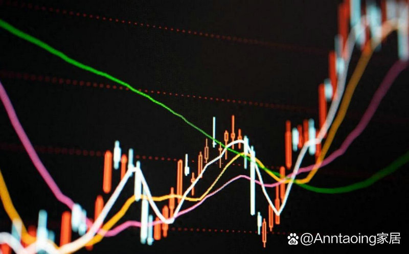 000569基金净值（005968基金净值查询今天最新净值