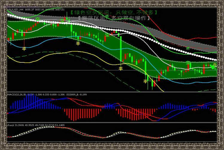 节能与新能源汽车龙头企业（国内新能源汽车上