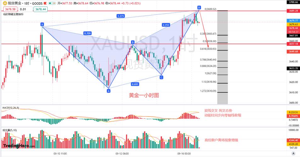 兴瑞科技消费电子（兴瑞科技是做什么的）