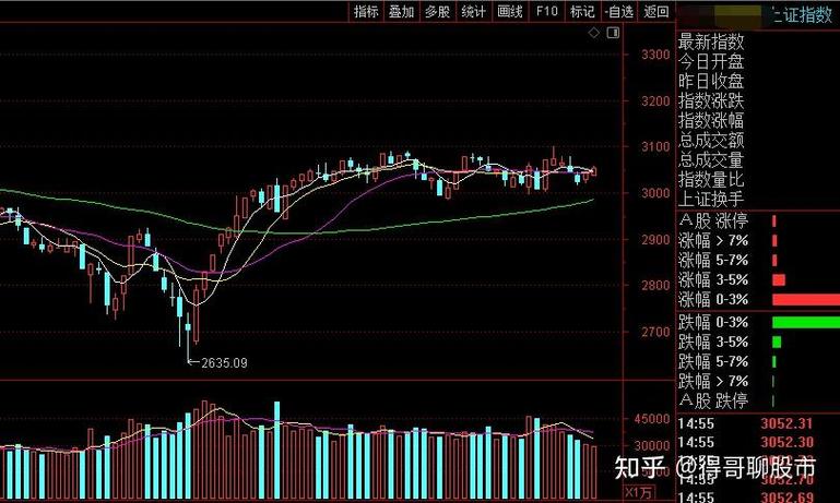 发债审计（发债审计报告要求）