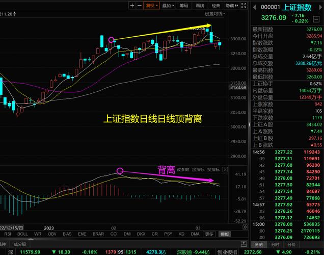 什么是主力什么是散户（股市主力与散户的划分