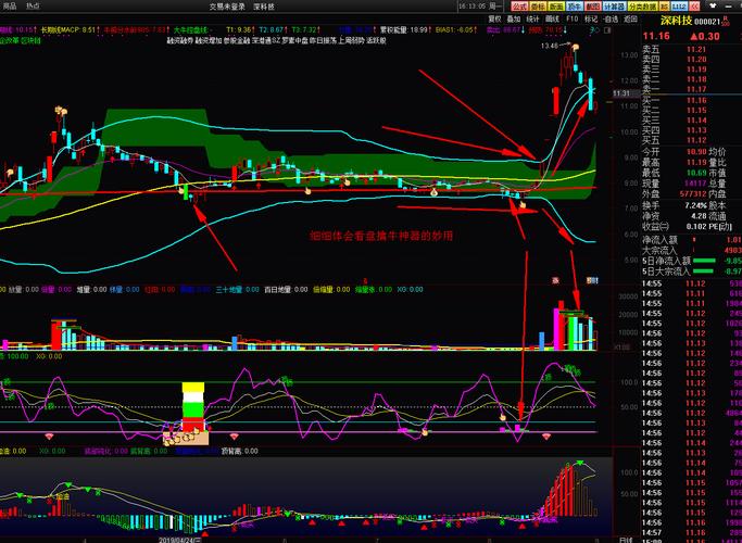 股票分为什么（上市公司股票有哪些）