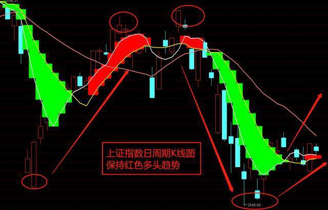 中国股票期权的推出对股市的影响（股票注册制
