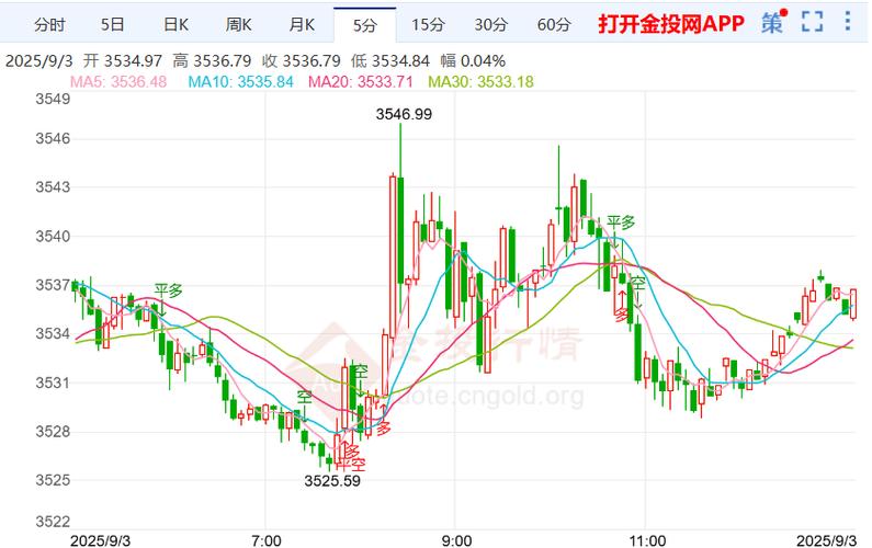 绿盟科技诊股（绿盟科技是国企吗）