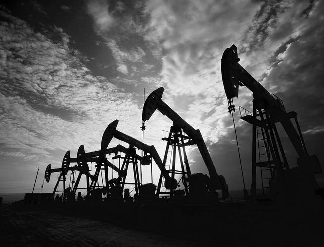 长信稳健纯债债券e买不了（债券型基金）