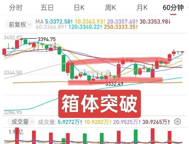 股票型基金001158今日净值（每日基金净值查询l）
