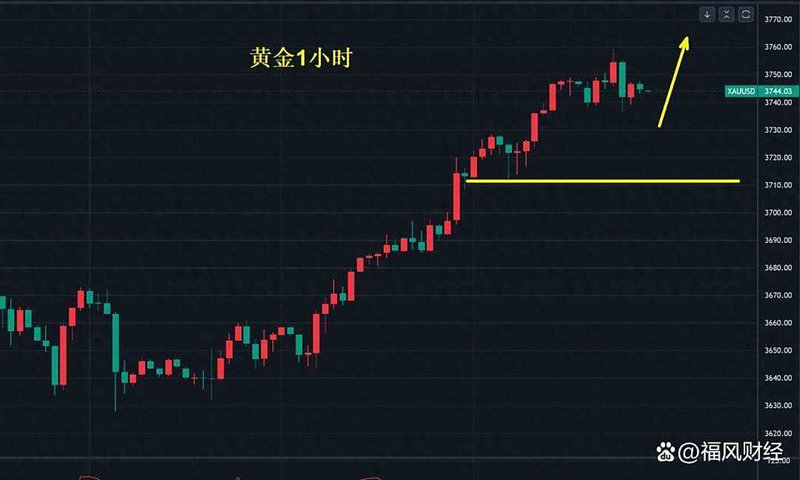炒股术语名词解释（股票的基本术语和解释）