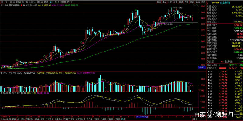 东莞控股年报（东莞控股最新传闻）