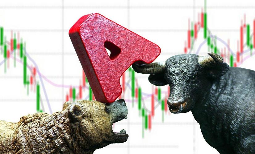 海鸥股份投资风险（603269海鸥股份股吧）