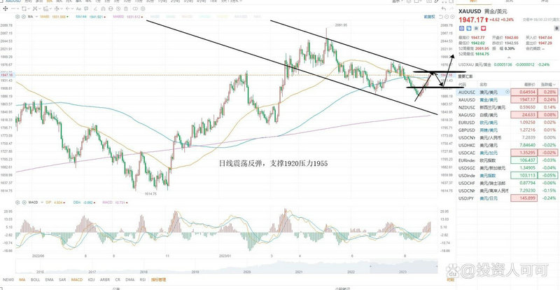 福特基金体质血（美国福特基金）
