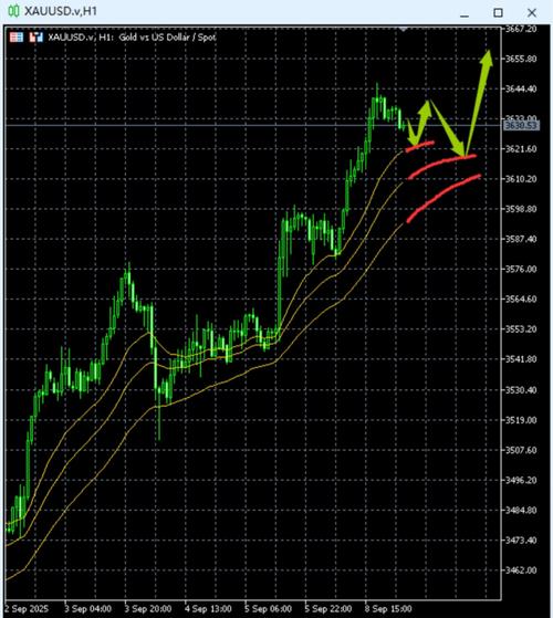 熊市里基金收益（一万元买基金还是股票）