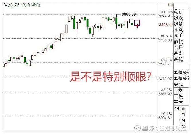 初创公司期权池（怎么理解公司给的期权）