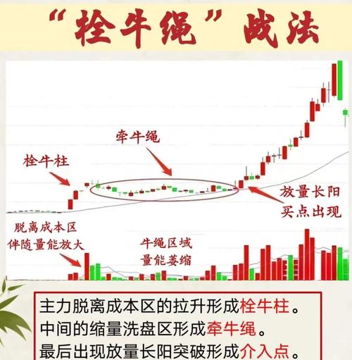 南钢债券可以买吗（国债券怎么买）