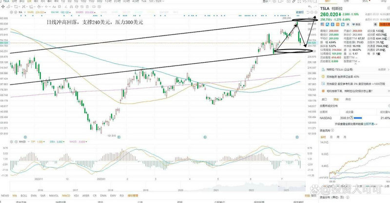 青山纸业林场（青山纸业司法拍卖）