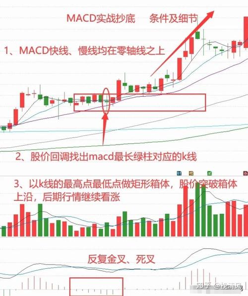 国债逆回购科创板开户（新开户国债逆回购）