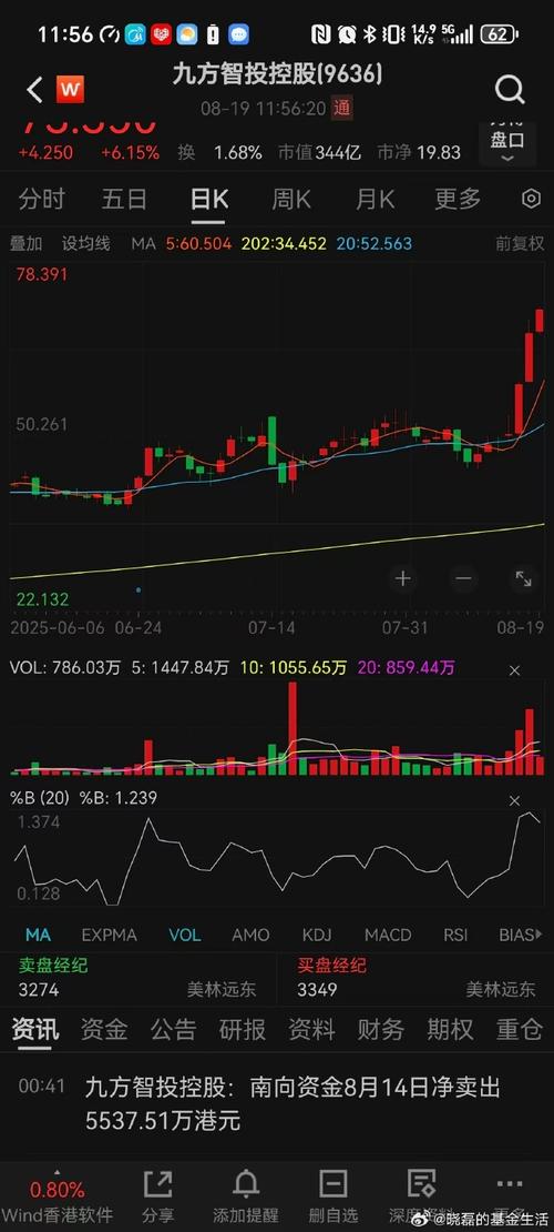 杨百万股市战例pdf下载（杨百万股彦）