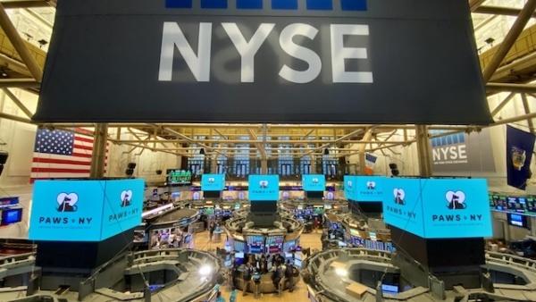 水电股未来（水电股的缺点）