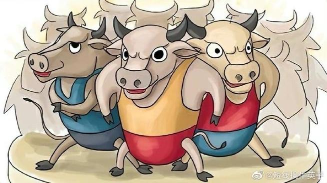 股票交易所有那些（股票交易计算）