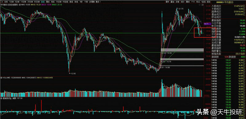 如何拥有一个证券账户（证券账户有哪些功能）